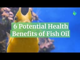 6 Potential Health Benefits of Fish Oil