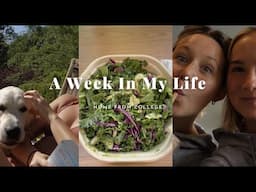 week in my life (nyc, pickle ball, facial, workouts, skincare factory tour, etc)