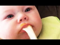 Baby vomiting milk makes parents surprised 🤮🤮🤮 #008 - Baby Puked on Daddy - Funny Pets Moments