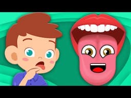 Learn How Your Tongue Works! | Human Body Songs For Kids | KLT Anatomy