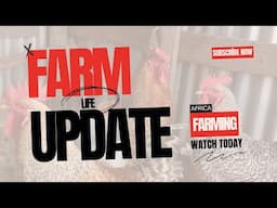 Farm Updates 2024: Chickens, Crops, Livestock & New Irrigation System in Action! AFRICA FARMING!!!