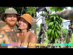 Q&A: Home Birth? How We Built Our Farm. Cannabis Still??