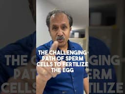 The Challenging path of sperm cell to fertilise the Egg