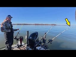 HUNGRY Fish In SHALLOW WATER!! (Bama Blues 2025)