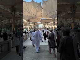 Walking out of Masjid an Nabawi  #peace