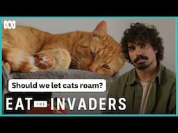 Should you let your cat roam outside? | Eat The Invaders | ABC iview