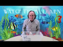 Learn about Oceans  part-1 | for kids