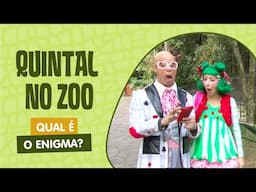 QUINTAL NO ZOO | QUAL É O ENIGMA? | QUINTAL DA CULTURA