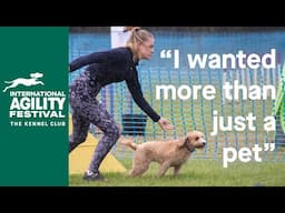 Dog Agility Training: Your New Hobby? | International Agility Festival 2024