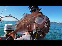 Kapiti Coast Boat Fishing Adventures. Workups & Snappers