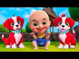 Baby Bingo Song New Compilation | Baa Baa Black Sheep Song | Baby Cartoon and Kids Songs | Baby Bobo