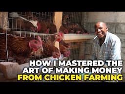 Poultry Farming: How to Start and Grow A Chicken Farming Business