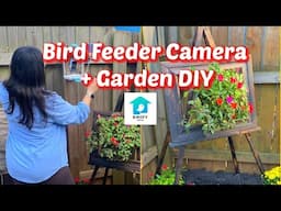 BEST Bird Feeder Camera & DIY Flower Frame