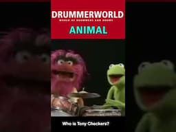 Animal: Who is Tony Checkers???!!! #animal #drummerworld