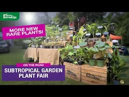 3 RARE PLANTS discovered at Subtropical Garden Plant Fair