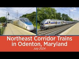 Northeast Corridor Trains in Odenton, Maryland - July 2024