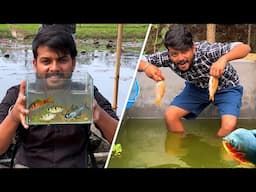 Kathal Fishing Fishes, Backyard Ponds Update and Village Fishing 🎣 ❤️🔥