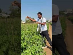 Ek Baar Laga Dala to Life Zingalala 😎💥 #indianfarmer #shorts