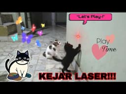 PARA BOCIL MAIN KEJAR LASER | ENGGAK ADA CAPEKNYA