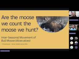 Tracking bull moose movements in Interior Alaska using satellite collars 20250110 045221 Meeting Rec