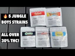 SMOKING 5 JUNGLE BOYS STRAINS (WHICH IS THE BEST!?)