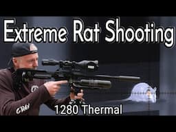 EXTREME RAT SHOOTING with 1280 thermal and an air rifle