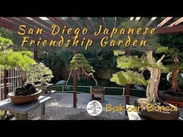 San Diego Japanese Friendship Garden - Bonsai Destination - Baikoen Bonsai Club