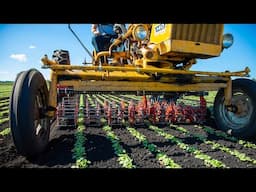 Simple Mechanical Tool Revolutionizes Weed Control On Almost Any Tractor