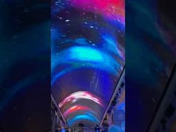 MSC cruise light show!!!