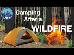 Tips for Hiking, Backpacking & Camping in a BURN ZONE | Camping After a Wildfire