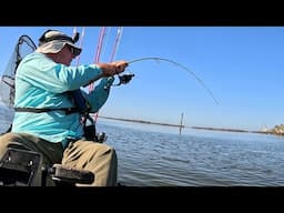 Fishing Florida Docks and Backcountry For Whatever Bites - A Lot Bit!