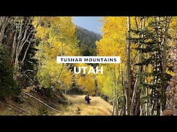 Hiking 80km Across Utah's Tushar Mountains