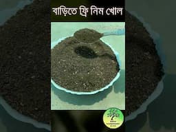 বাড়িতে ফ্রি নিম খোল তৈরি