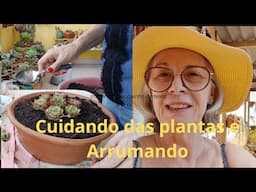 PODAS REPLANTES E CUIDANDO DAS SUCULENTAS  NO MEU ESPAÇO VERDE