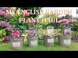 Late Summer Plant Haul - My English Garden  -  August 2024