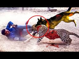 Brutal Moments Hero Animals Saved human Lives Caught On Camera (Part 3)