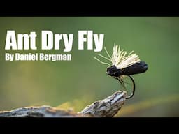 Ant Dry Fly by Daniel Bergman