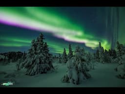 Northern Lights Livestream from Fairbanks, Alaska 11/20/2022