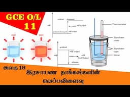 Heat Changes Associated with Chemical Reactions | Grade 11 Science | GCE O/L Tamil Medium