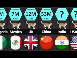 Cats Population by Country 2024