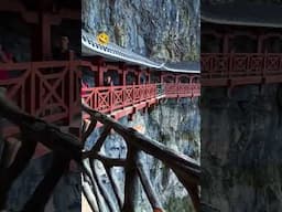 Chinese bridge scare amazing china landscape #china #travel #zhangjiajie