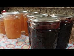 Small batch of Blackberry Jam with the Ball Jam & Jelly Maker. Recipe screen shots in video #food