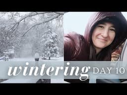 Our Winter Staycation | January Wintering VLOGS