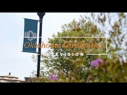 How to Design a Pollinator Garden on the Best of Oklahoma Gardening January 11, 2025