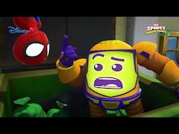 🤖 Cel mai tare Zola | Păienjenelul Marvel și prietenii lui uimitori | Disney Junior România