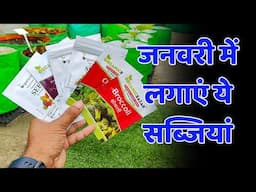 जनवरी 2025 में कौन सी सब्ज़ी लगाएँ? January Me Konsi Sabji Lagaye Home Garden Me | Home Gardening