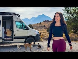 Crossing the Country, Again… for a Dog (Van Life 900 Mile Transport)