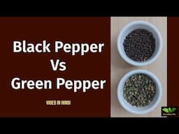 Black Pepper Vs Green Pepper | Pepper Whole | Kaali Mirch | Everyday Life # 354