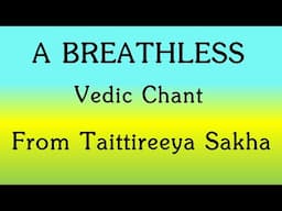 A Breathless Vedic Chant | Krishna Yajur Veda 5th Kandam 1st Prasnam | The Ghanapati