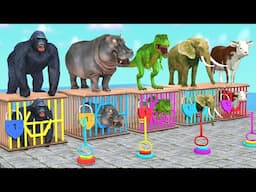 Cow Mammoth Dinosaur Elephant Gorilla Guess The Right Key ESCAPE ROOM CHALLENGE Animal Cage Game #10